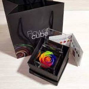 Flowercube Rainbow 8*8