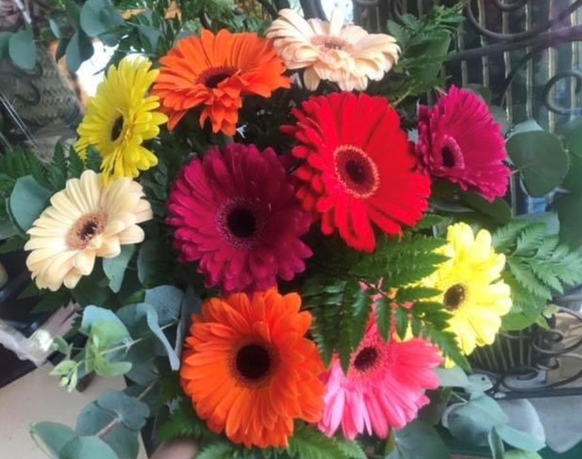 Ramo de flores BETIASKE Gerberas de colores | Envío 48/72 horas | Eup!